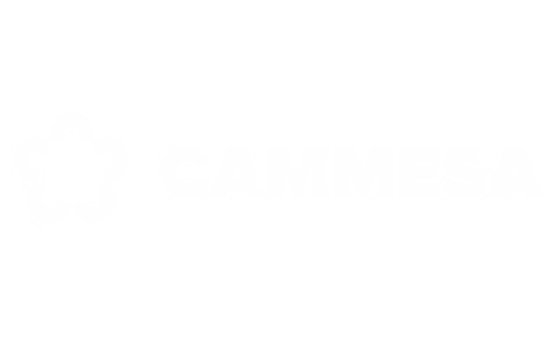 CAMMESA